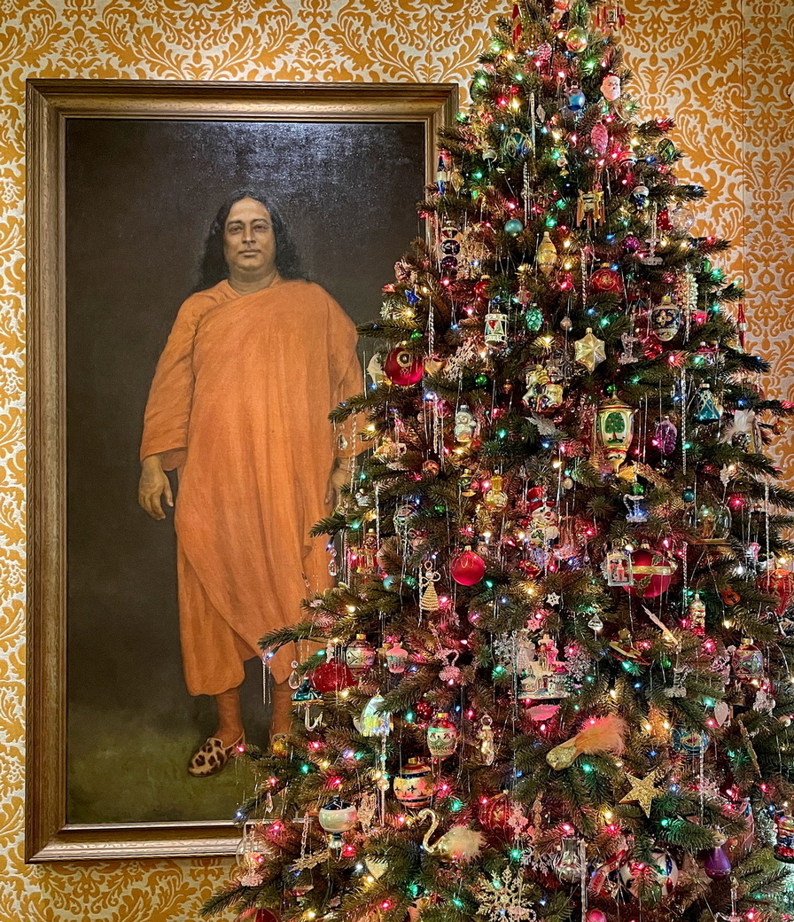 IMG 9969 MC Christmas Tree banner