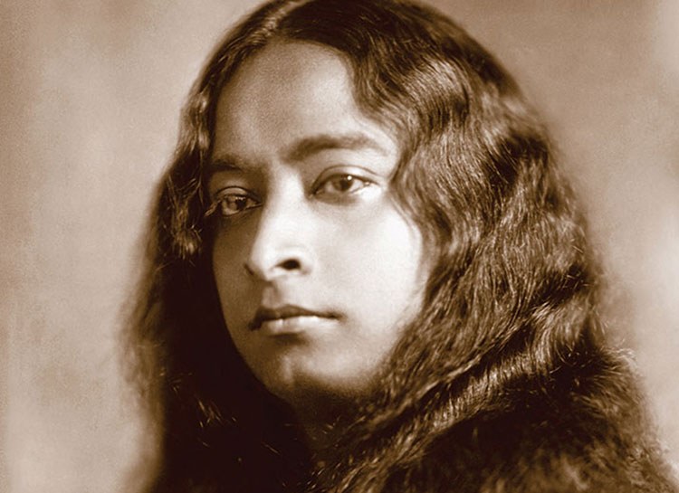 Py 2601 1 05Sepia 3146 No Lotus With Signature 750X545