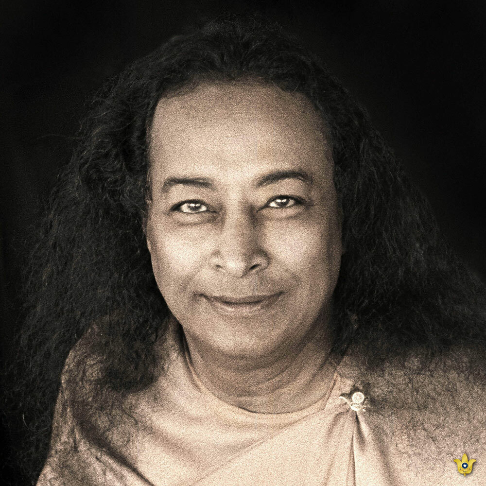 PY 5113 3 03sepia square gold lotus