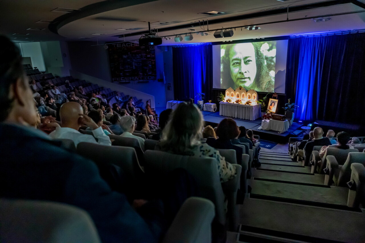 20221113 Sydney 6 exp