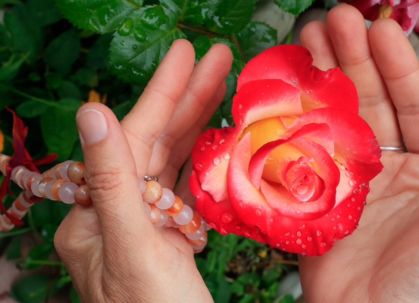 Peace As Way of Life Blog Landing