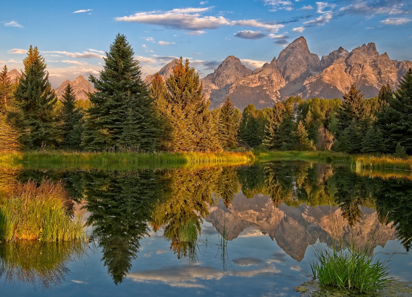 Peace Toolkit Blog Landing