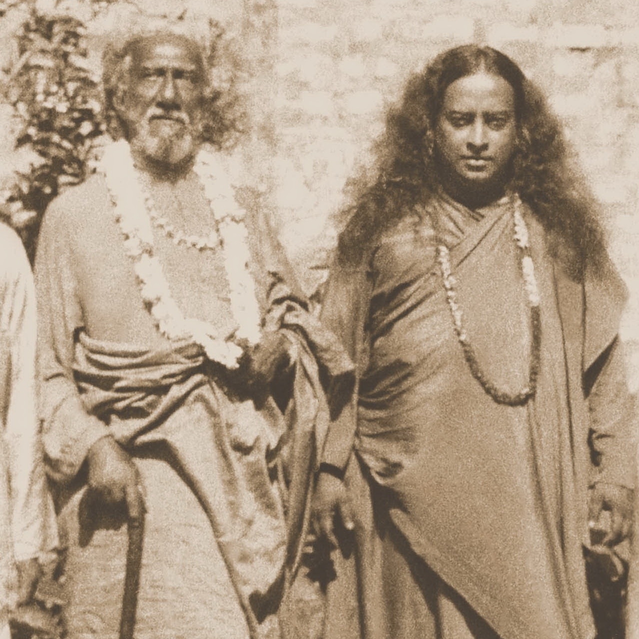 Srf Ll Py3505 C18 042Crop4 Csepia 2