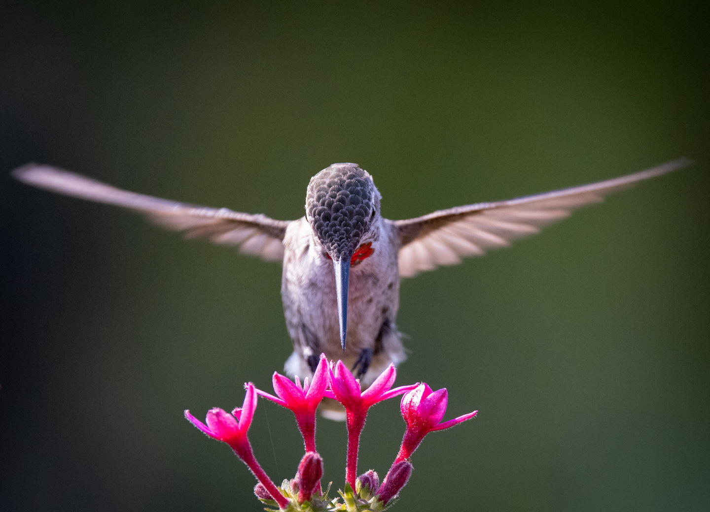 Yoga Teaches to Seek the Divine First blog1