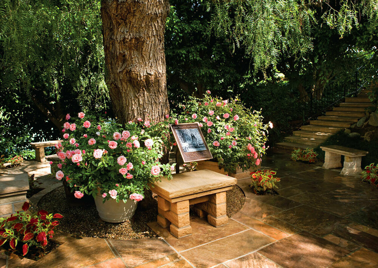 The Temple of Leaves January 2025 Newsletter blog