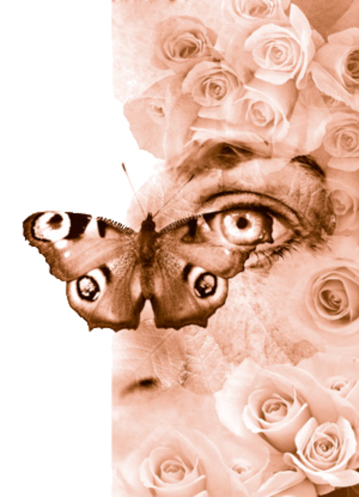 Introspection Graphic