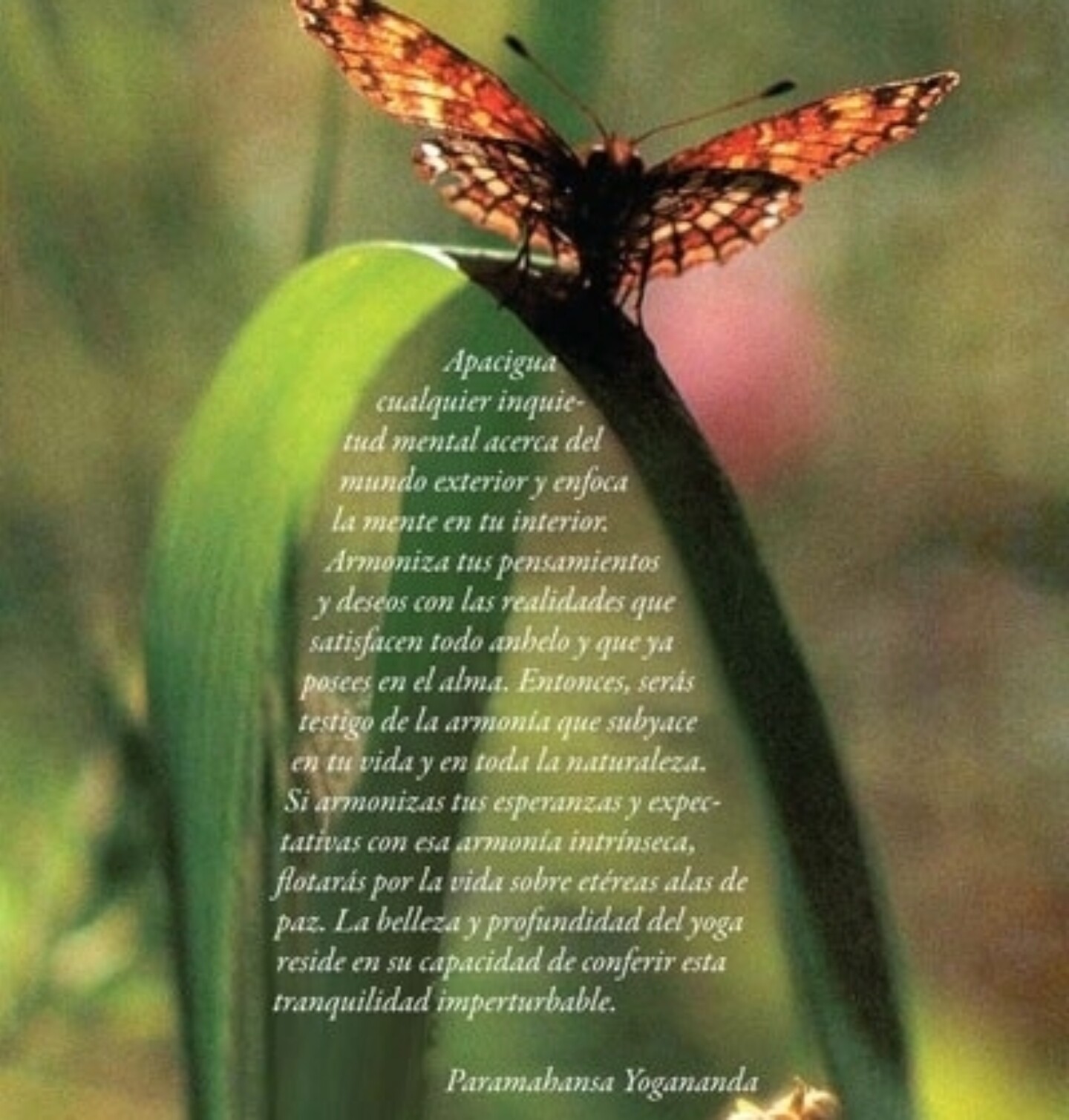 Overcoming Anger Spanish