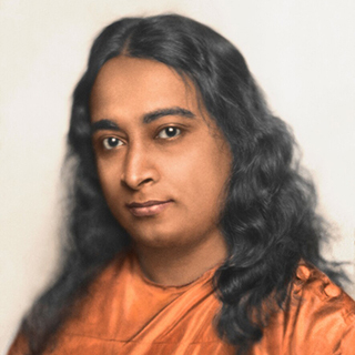 PY P 2413 Standard Pose resize 2 SB