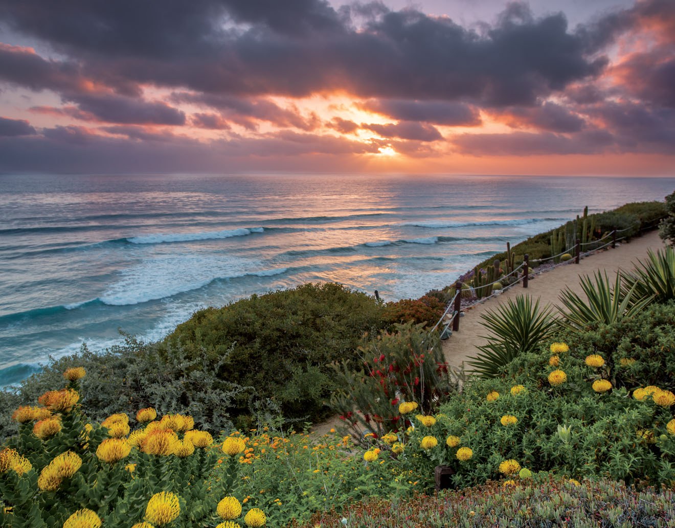 Interment Of Sri Mrinalini Mata
