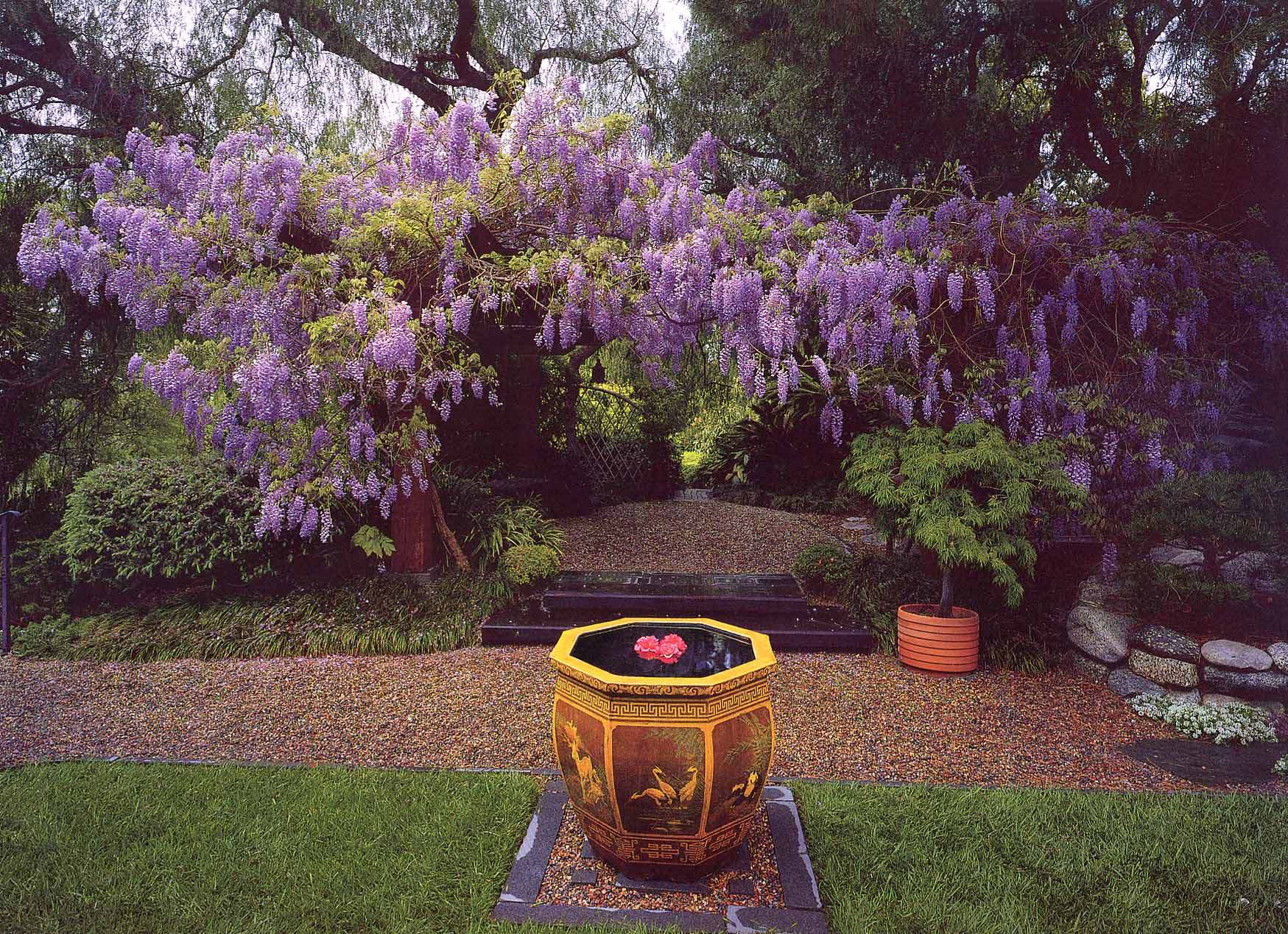 Satsanga Mrinalini Mata